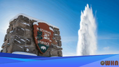 Interior Revamps Park Fees, Moves to Digital Passes